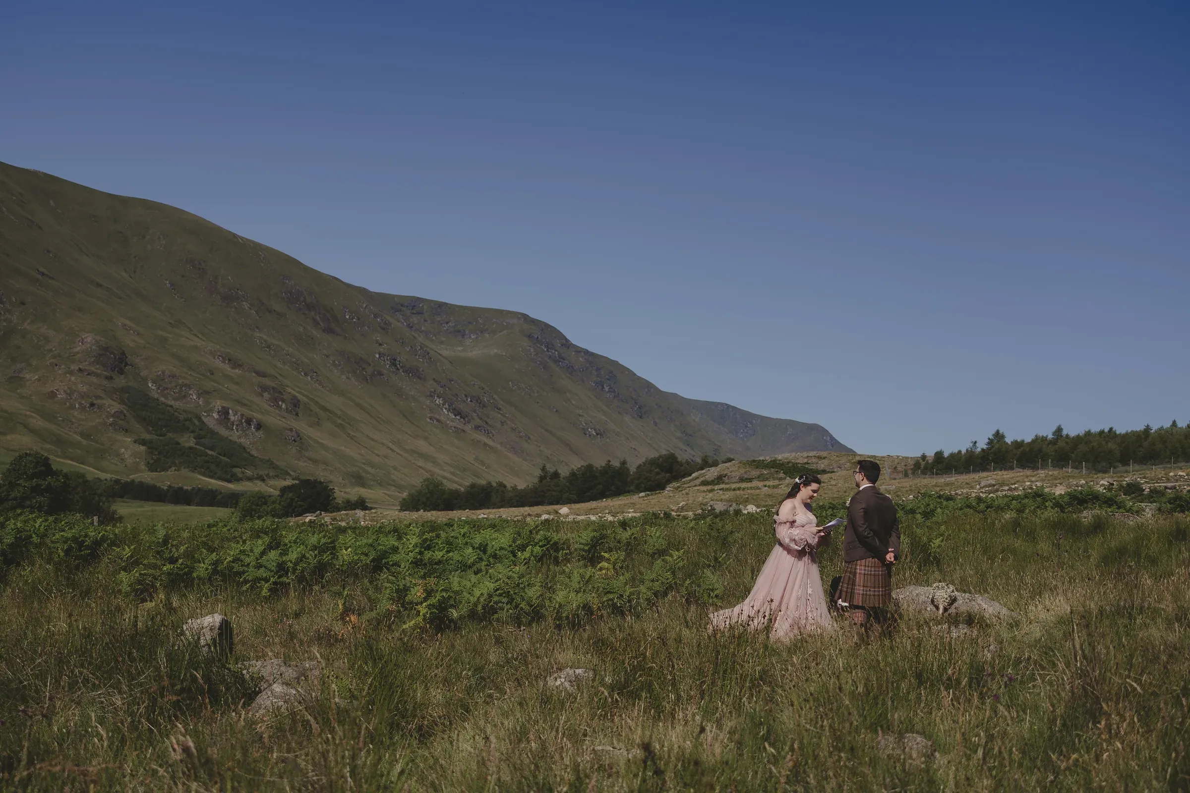 Beth & Blair, an outdoor meadow wedding with a ring-bearer dog, on the hottest day of the year