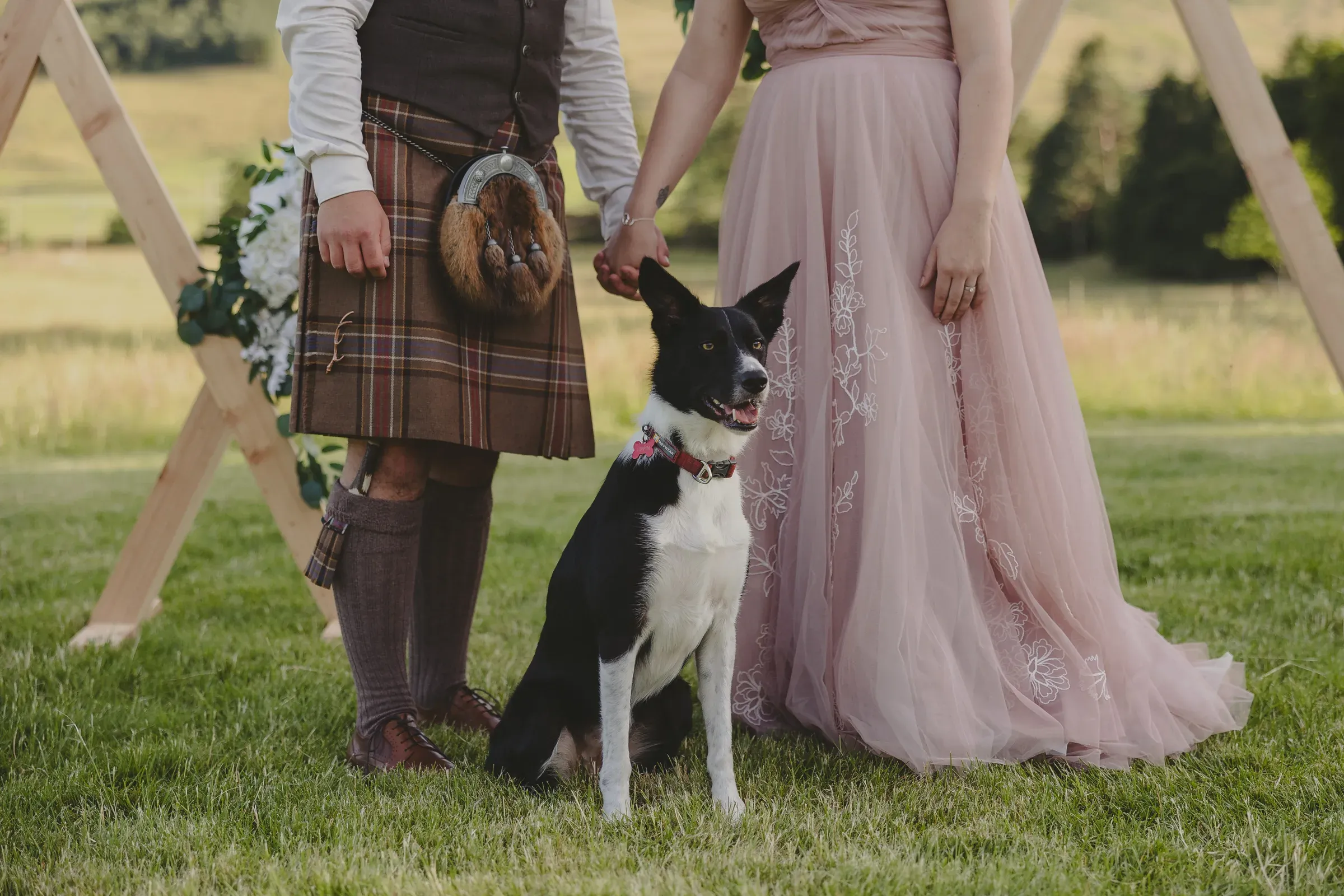 A dog sits in front of a couple holding hands during their outdoor wedding ceremony at the glen.