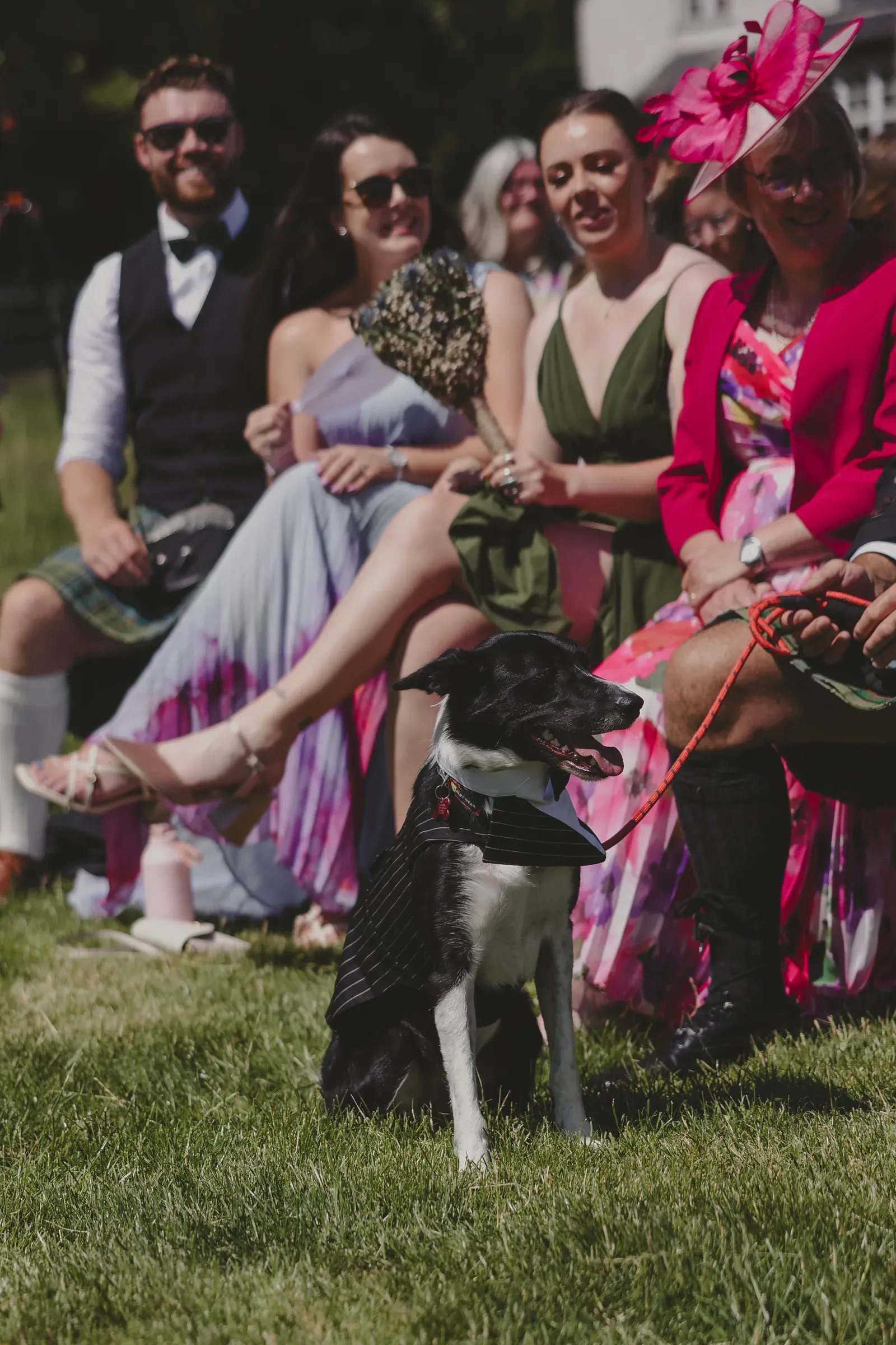 A well-dressed dog sits at the centre of attention among wedding guests in the glen.
