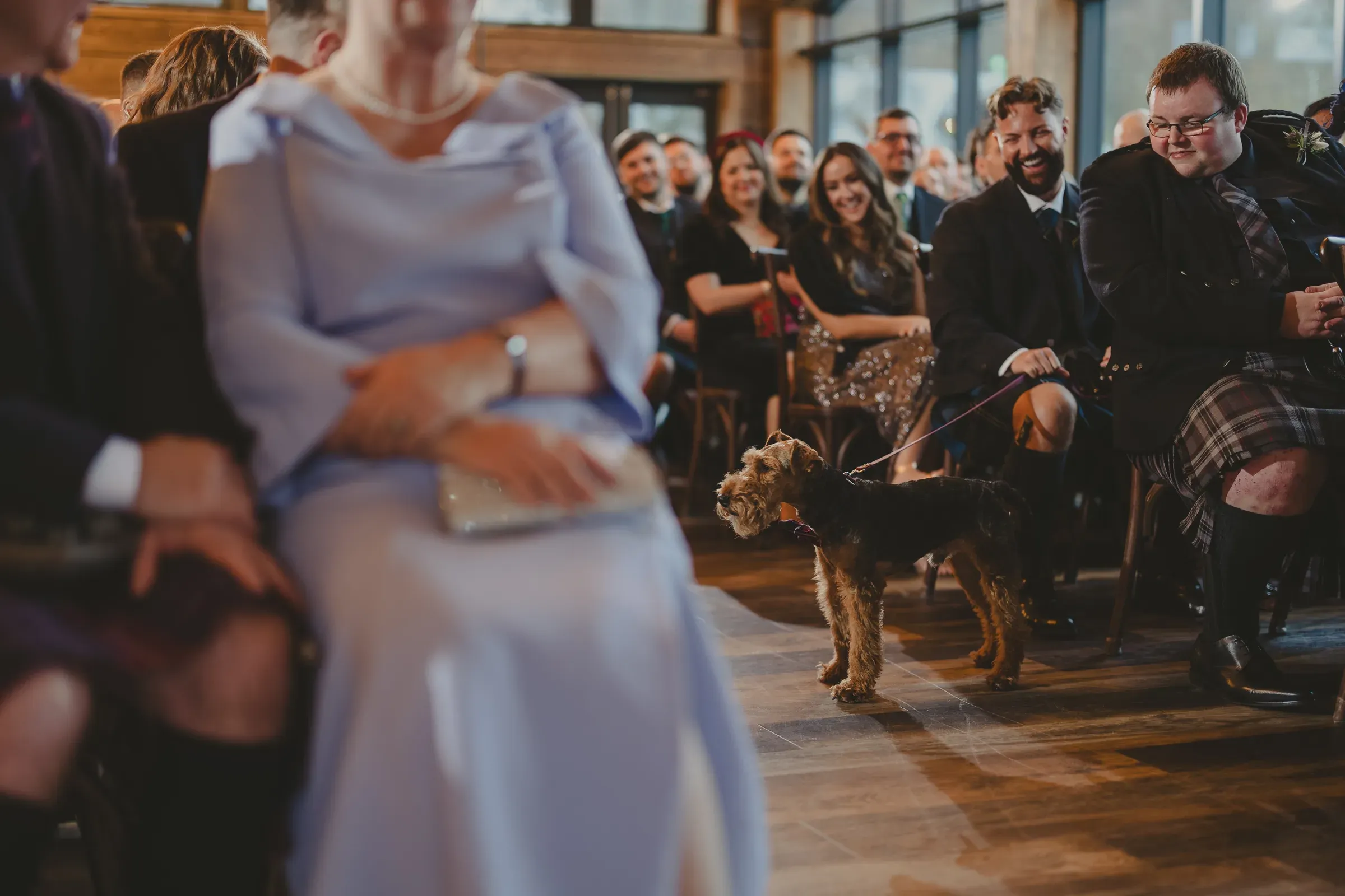 Wedding guests inside the barn smile as they watch a happy dog who has become the centre of attention.