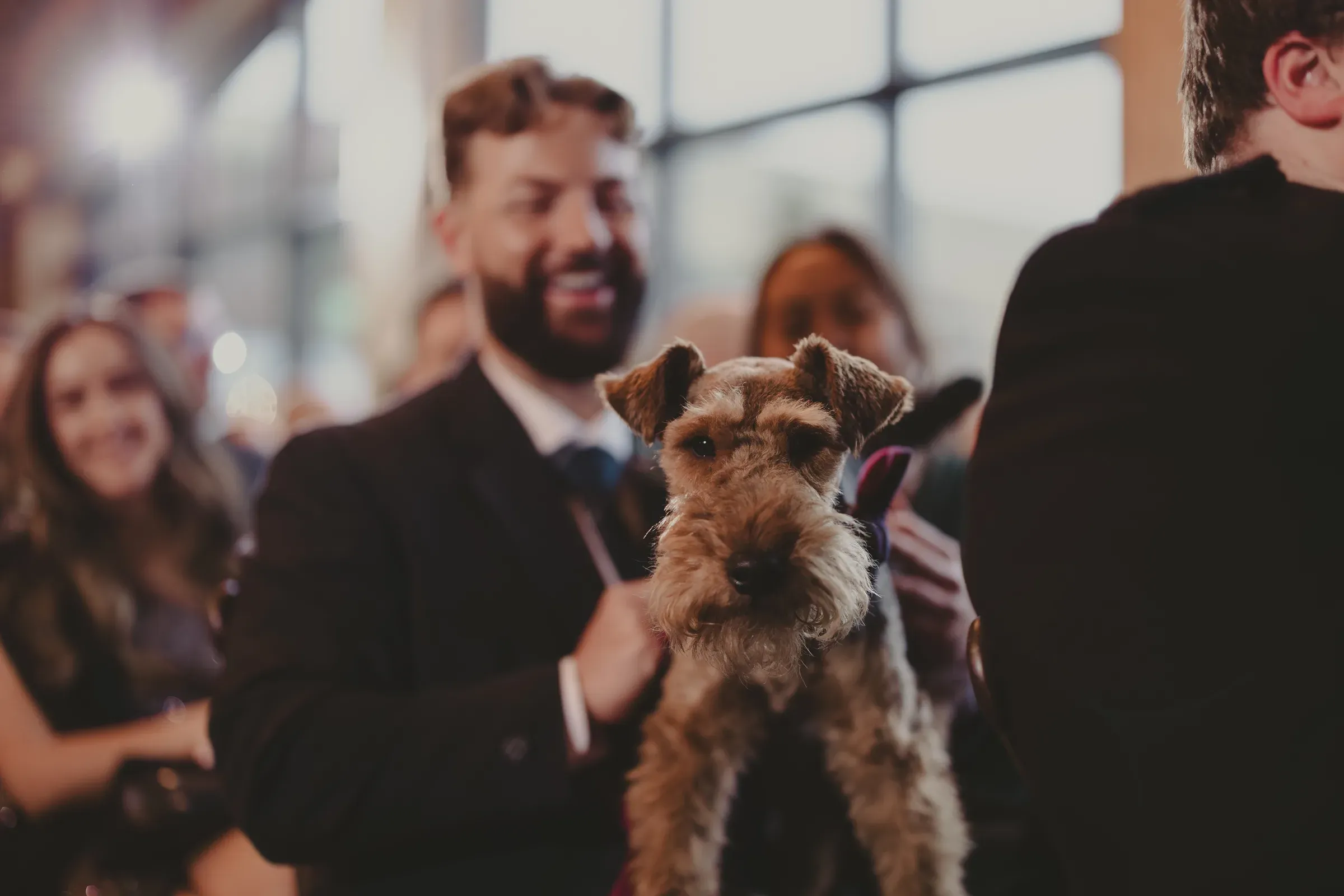 A dog participates in Katie and Kevin's wedding ceremony inside the barn at Glenclova.