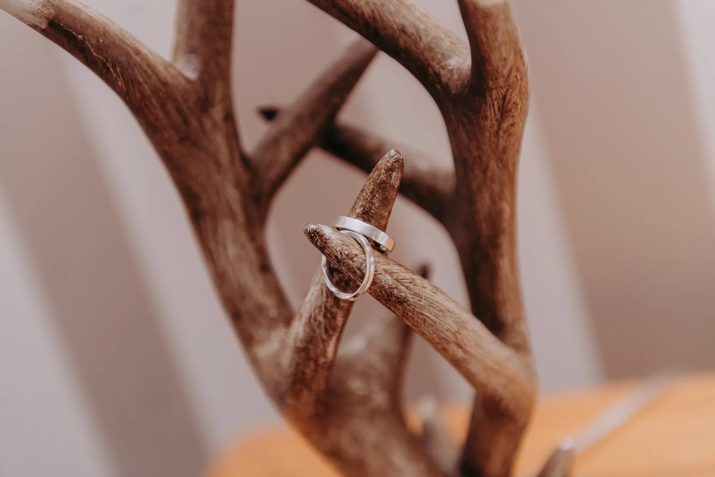 A pair of wedding rings resting on a set of antlers, capturing a Scottish-themed detail shot.