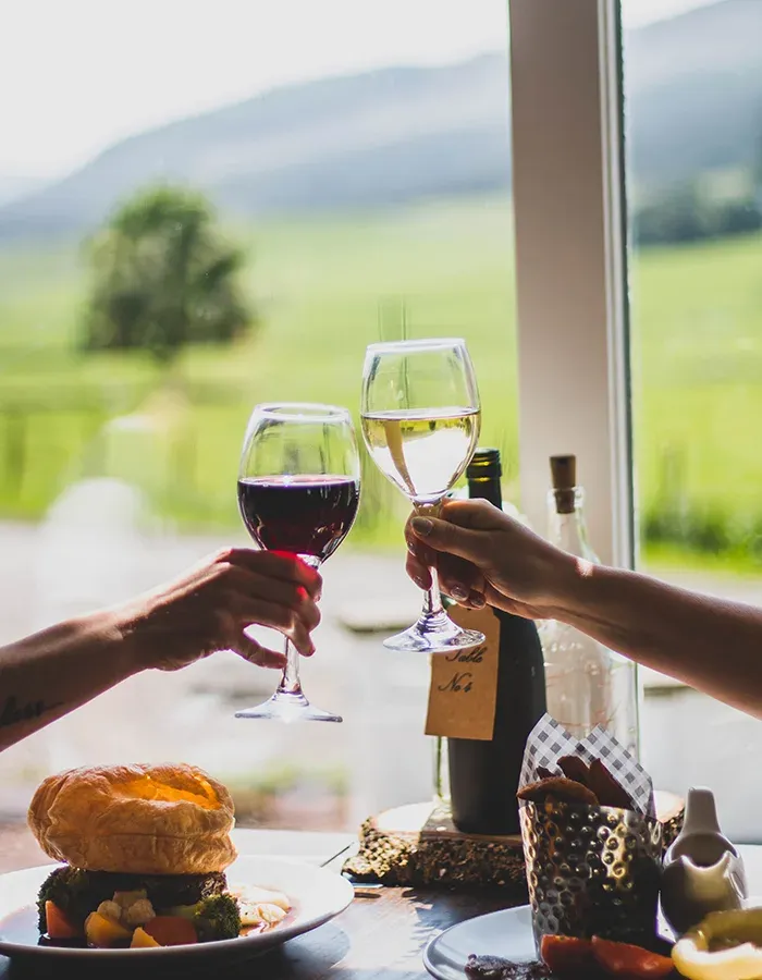 Two hands raise glasses of red and white wine in a toast over a wedding meal with a scenic view of the glen in the background.