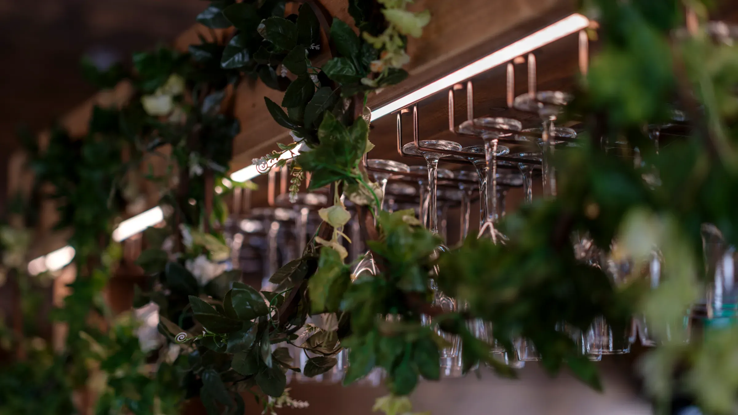 A close-up view of bar glasses hanging beneath warm lights and decorative fauna.
