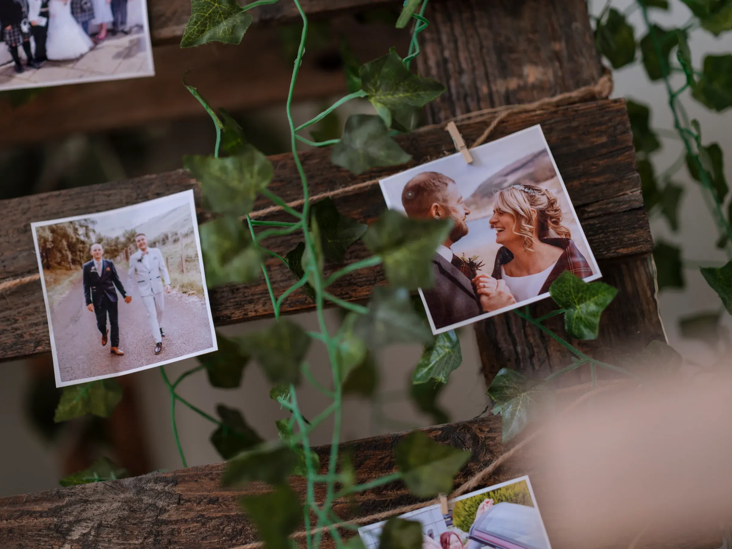 A rustic wooden image wall decorated with ivy, featuring various wedding photographs clipped to the display.