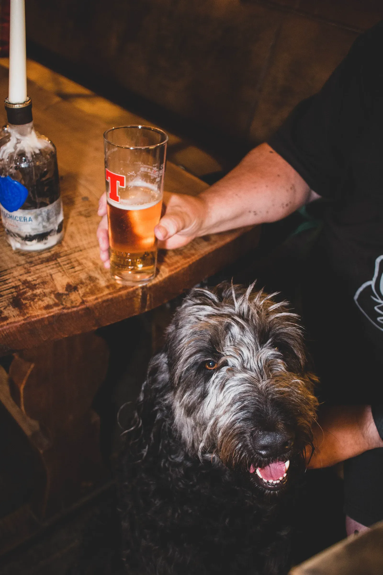 A dog sits beside a person holding a pint of beer at the Climbers Bar.