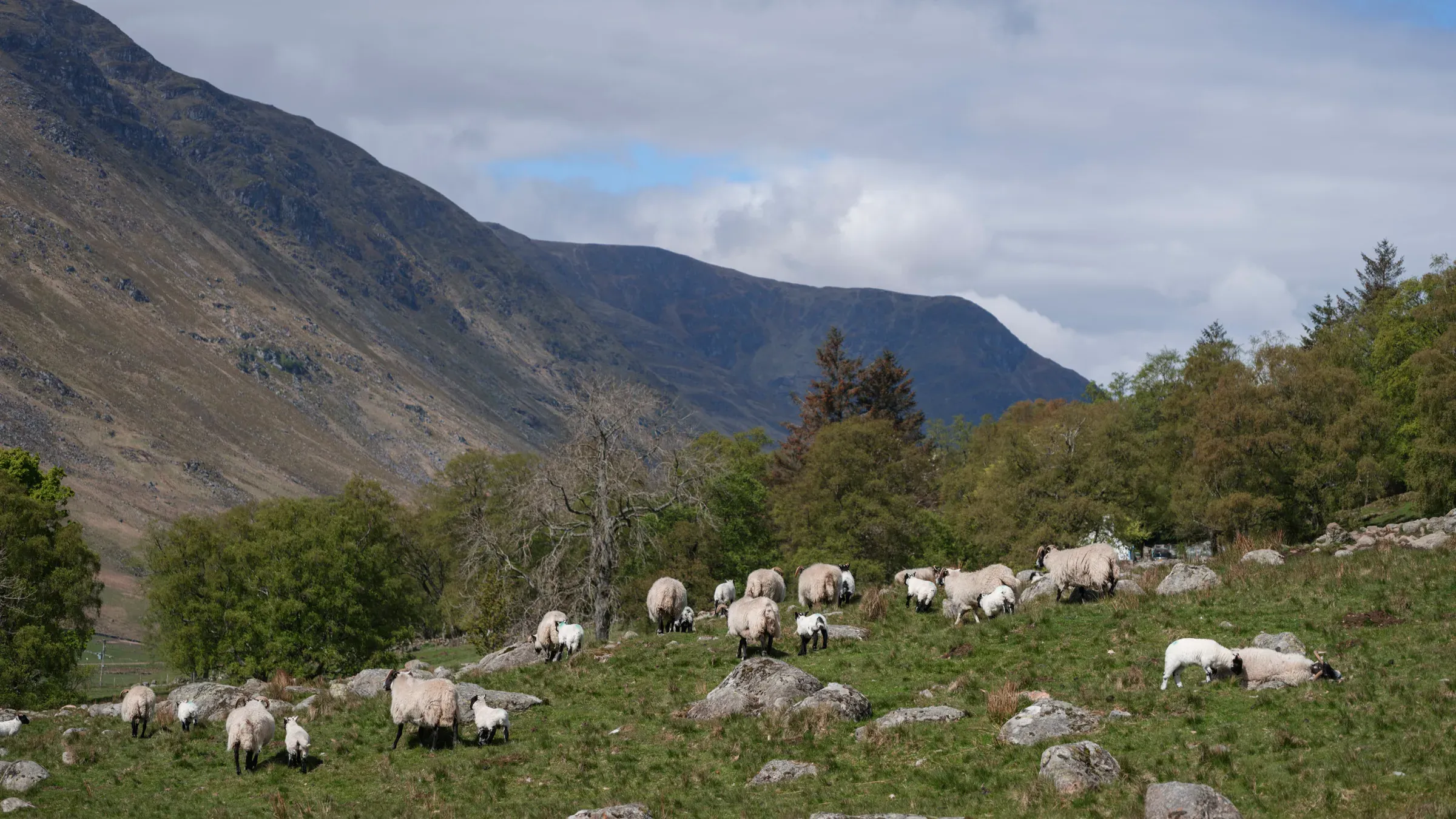 Glen Clova, Spring
